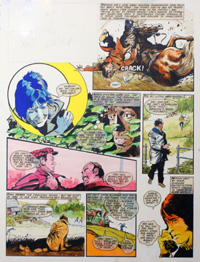 Follyfoot - Dora Takes A Tumble (Original)