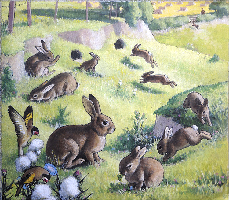 Bouncing Bunnies (Original) by G W Backhouse Art at The Illustration Art Gallery