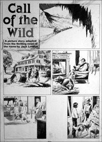 Call of the Wild - Happier Days (Original)