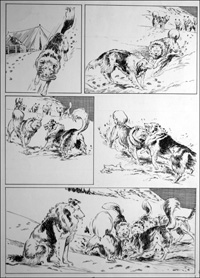 Call of the Wild - Fight (Original)