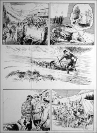 Call of the Wild - Dog Sleigh (Original)