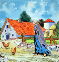 The Donkey Skin: Back to the Farm (Original)