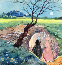 The Donkey Skin: A Secret Meeting (Original)