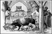 Pigs In Court (Original)