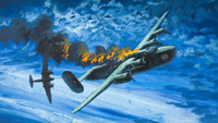 Liberator Shot Down In Flames (Original)