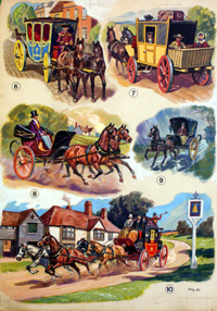 The Pony Book 70 (Original)