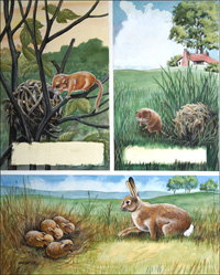 Don Forrest Art