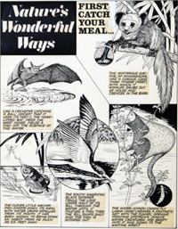 First Catch Your Meal (Original)