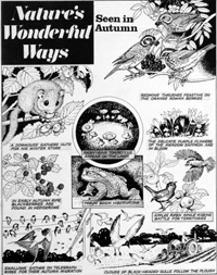 Seen In Autumn (Original) (Signed)