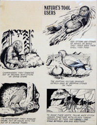 Nature's Tool Users (Original)