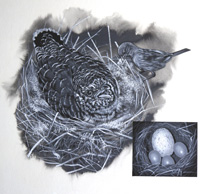 The Cuckoo In the Nest (Original)