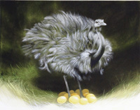 Ostrich (Original)