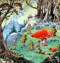 Peter Pan: Toadstool (Original)