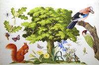 The Wonderful Oak Tree (Original)