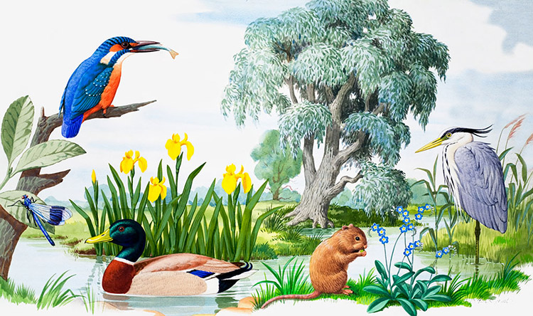 By The Stream (Original) by John Rignall Art at The Illustration Art Gallery