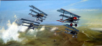 Richthofen's Fokker Dr1 Triplane (Original) (Signed)