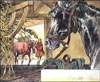 Black Beauty - A Study (Original)