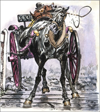 Black Beauty - Crack of the Whip (Original)