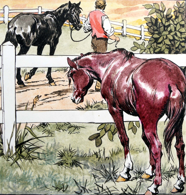 Black Beauty - Home On The Range (Original) by Black Beauty (Carlos Roume) Art at The Illustration Art Gallery