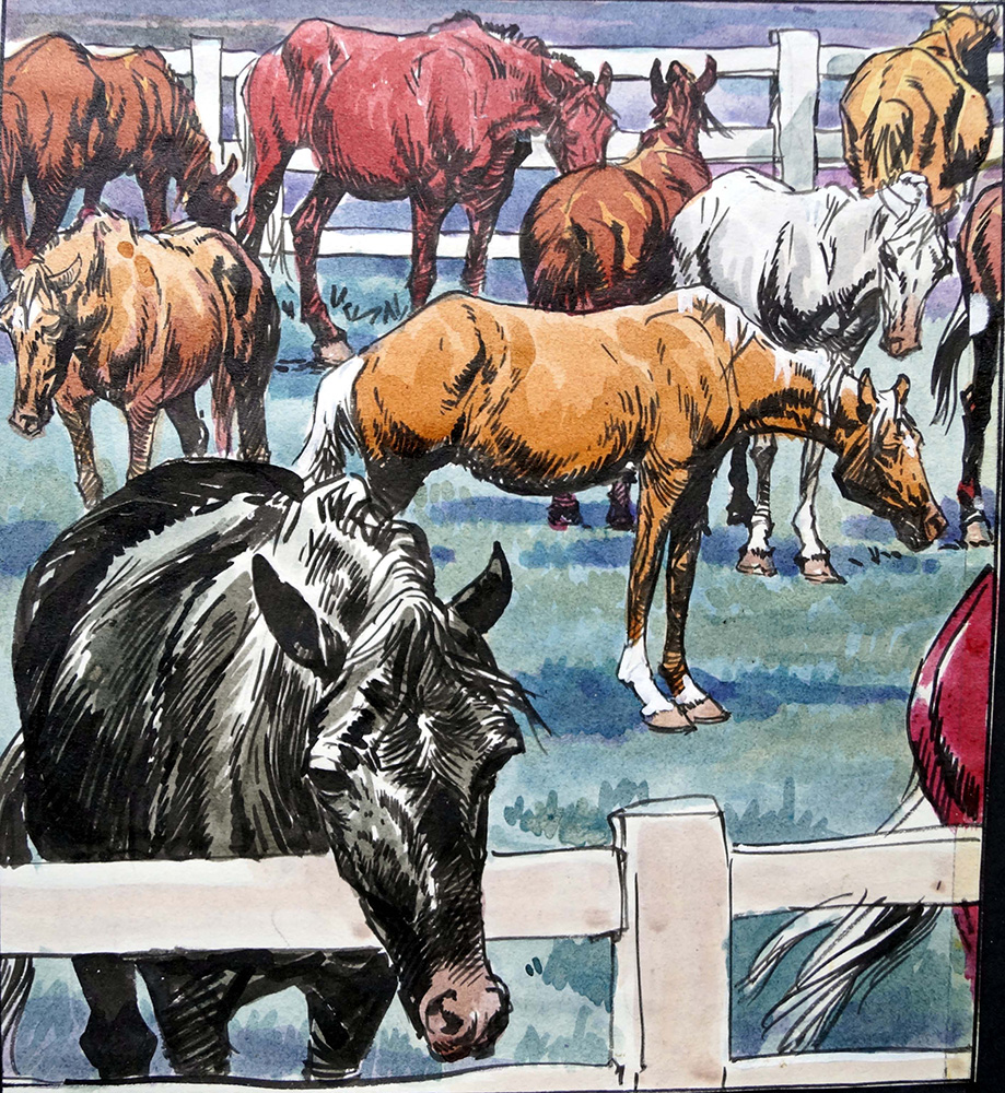 Black Beauty - In The Paddock (Original) art by Black Beauty (Carlos Roume) Art at The Illustration Art Gallery