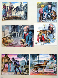 Dog of Flanders (Trevisan)